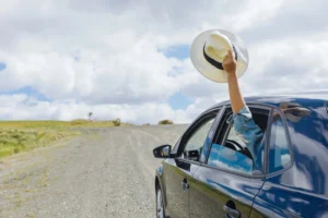 In the picture, we can see a person holding a straw hat outside the window of a car.
